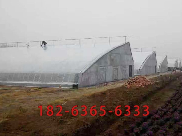 9f3a67f9-f027-4d48-8969-b9b1a3141ff7